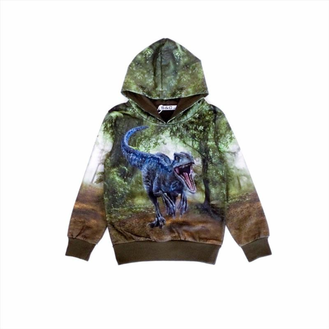Green hoodie with dinosaur