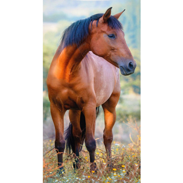 Serviette cheval 30 x 50 cm