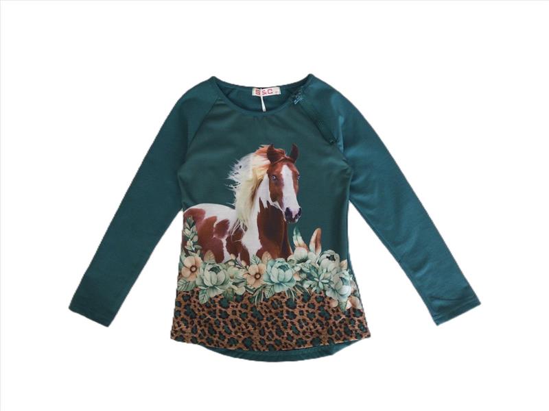 Longsleeve mint with horse with zipper