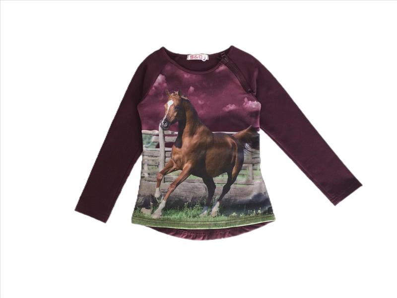 Longsleeve eggplant with horse with zipper