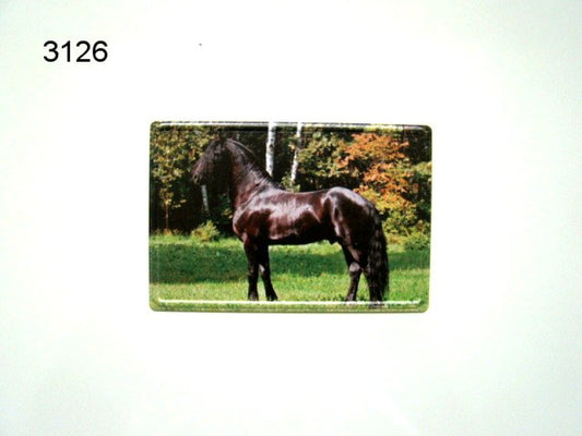 Friese paard magneet