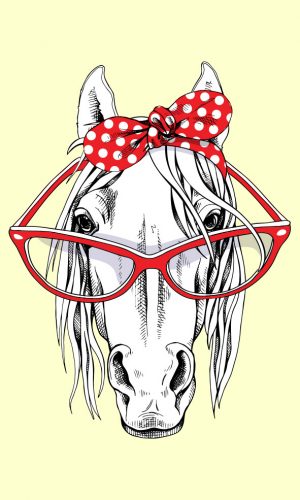 Cheval en tissu invité avec des lunettes de soleil