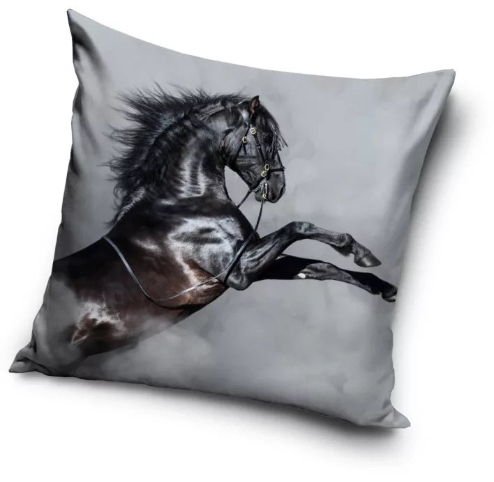 Bisous de cheval noir