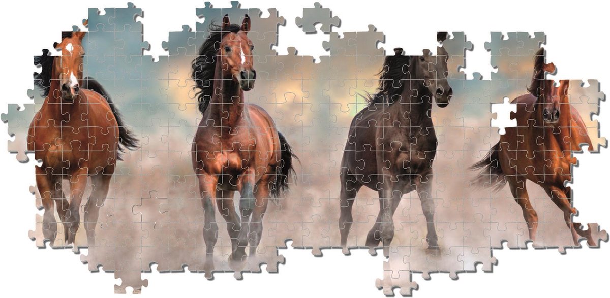 Puzzle horses in gallop 500 pieces