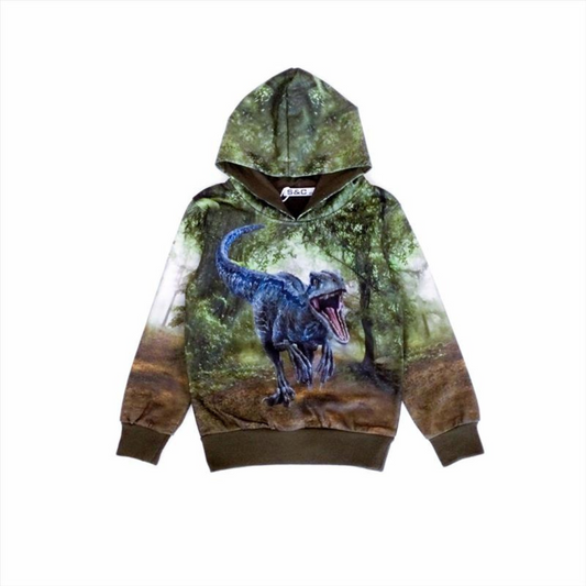 Green hoodie with dinosaur