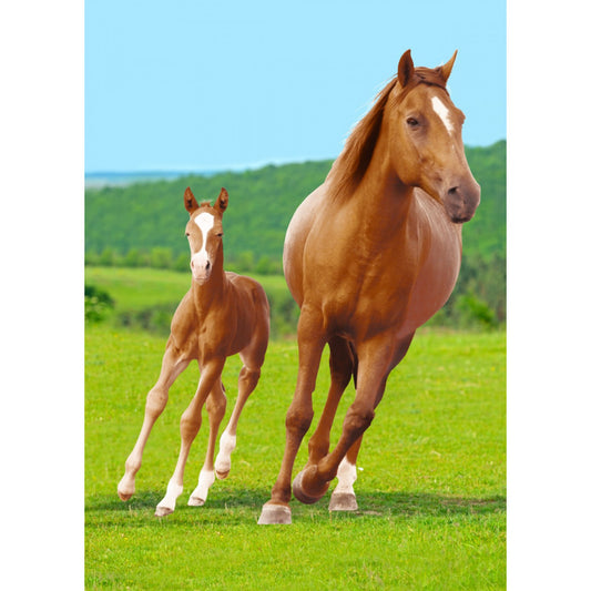 Fleece blanket horse with foal
