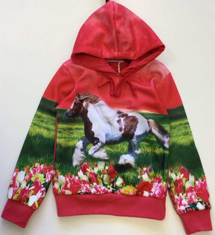 Hoodie met Bruine Tinker